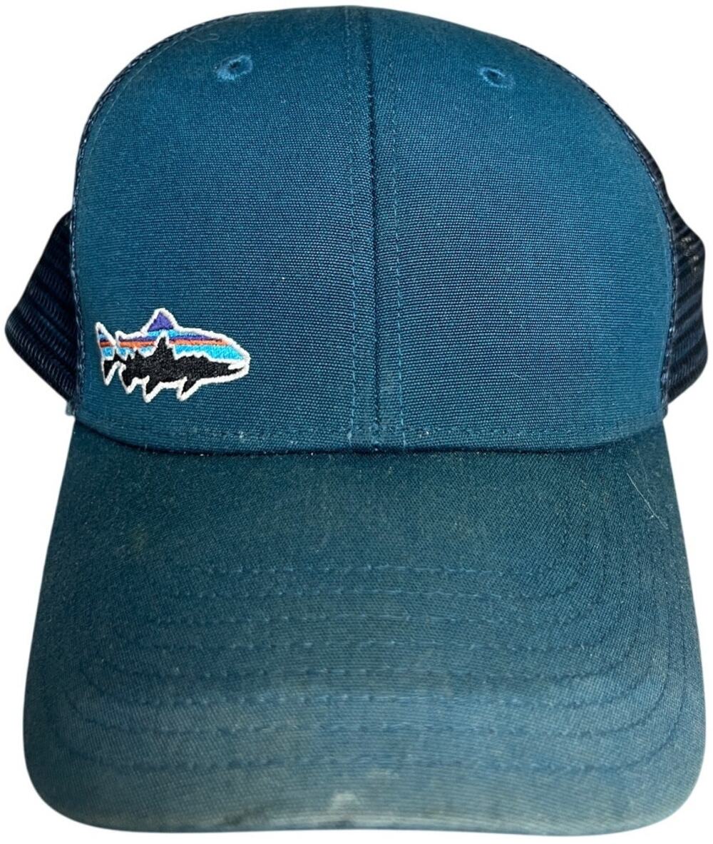 Patagonia Trout Trucker Hat Fitz Mens Turquoise Blue Snapback